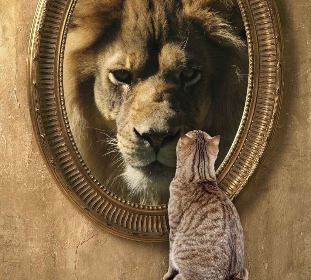Hypnose confiance en soi transformer le chat en lion